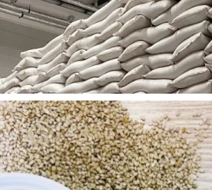 青岛芝麻进口报关代理，苏丹|埃塞俄比亚|尼日尔|坦桑尼亚|多哥|印度|巴基斯坦等国均可进口