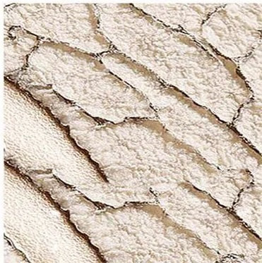 仁帆供应链在广州黄埔完成一批装饰纸的清关手续