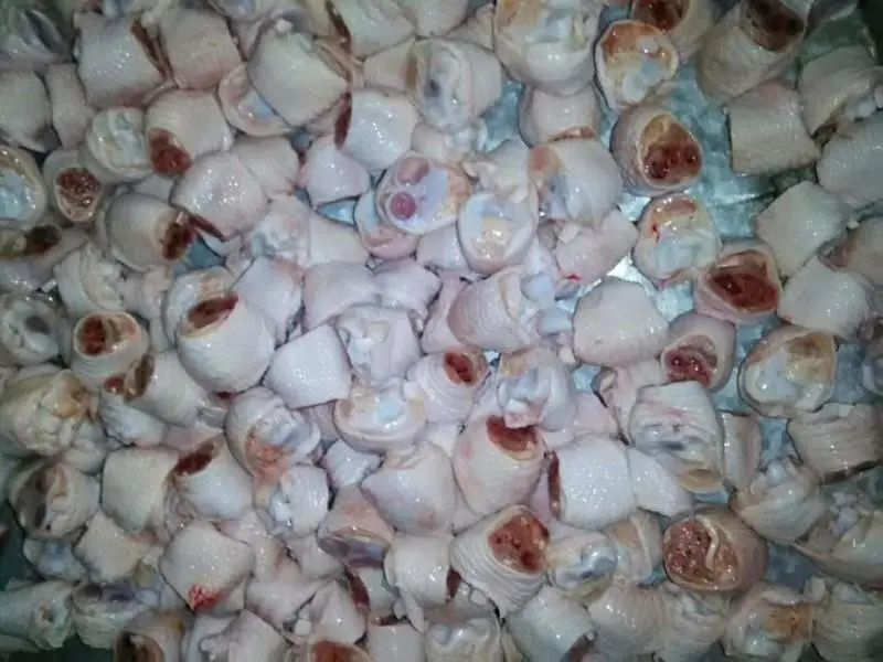 深圳盐田俄罗斯冷冻鸡脚杆进口清关案例分享和解析