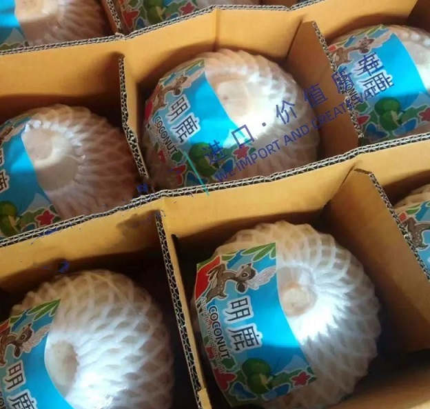 怎样在广州办理新鲜椰子的进口清关手续？